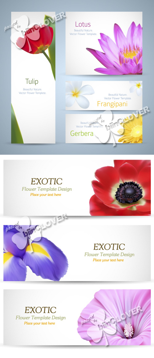 Beautiful floral design for banners 0191