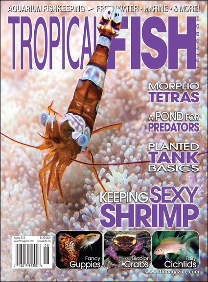 Tropical Fish Hobbyist Magazine - August 2012