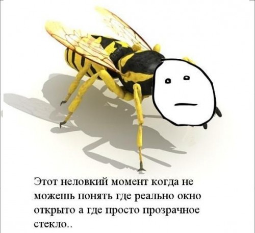 http://i42.fastpic.ru/big/2012/0629/76/e7639f09fc691b093d08d298f5379e76.jpg