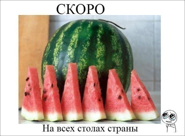 http://i42.fastpic.ru/big/2012/0702/1d/4f013acaf1546070c91bae8a48379c1d.jpg