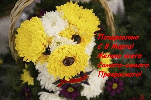 http://i42.fastpic.ru/big/2012/0706/a9/e45cf6b255f1de3aa4194752657fc2a9.jpg