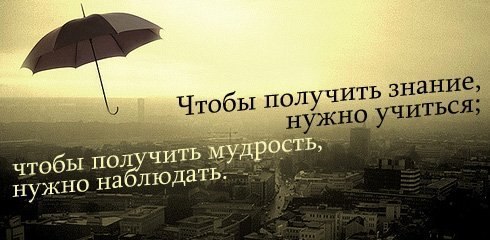 http://i42.fastpic.ru/big/2012/0711/4a/7eed596a82e4715d3bf392a8033f284a.jpg