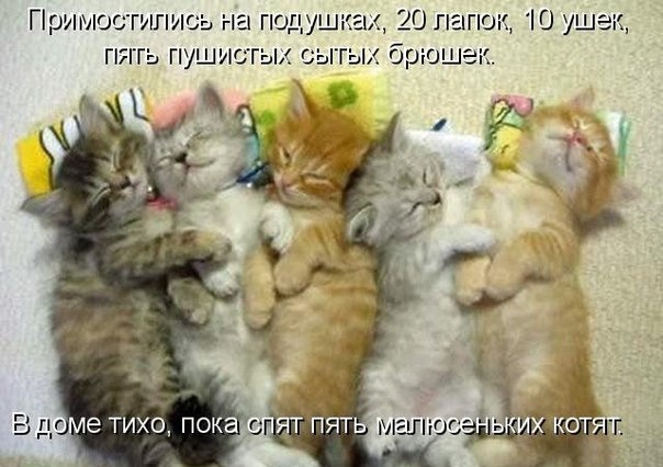 http://i42.fastpic.ru/big/2012/0715/65/9be359eeb311ae88c911093e406d7465.jpg
