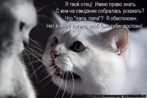 http://i42.fastpic.ru/big/2012/0717/2d/0849ac6c0a28c3ef33e79cb47ae8d12d.jpg