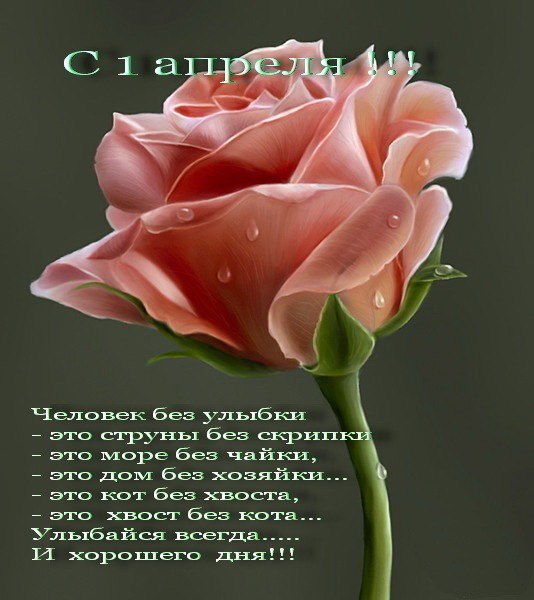 http://i42.fastpic.ru/big/2012/0717/57/8e3fddb2f6729c72984d7392234d1b57.jpg