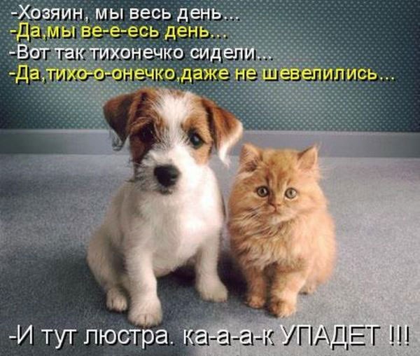 http://i42.fastpic.ru/big/2012/0717/6f/edc211c0a5a05fdb0a06984abd85bc6f.jpg