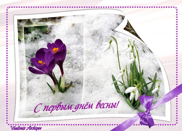 http://i42.fastpic.ru/big/2012/0717/74/54e80df374269eedef2f116f9fd3f274.jpg