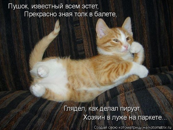 http://i42.fastpic.ru/big/2012/0717/7b/2a3b70f2be747fe69d8d56982bb6f37b.jpg