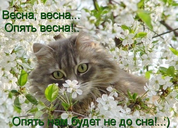 http://i42.fastpic.ru/big/2012/0718/fe/6a846aa3c1ac76be41721b28537f9ffe.jpg