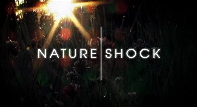 Channel 5 - Nature Shock 1of8 The Revengeful Elephant (2007) DVDRip XviD AC3 - MVGroup
