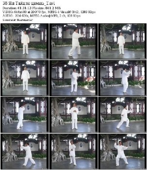Ян ши тайцзицюань. 38 форм (2010) DVDRip