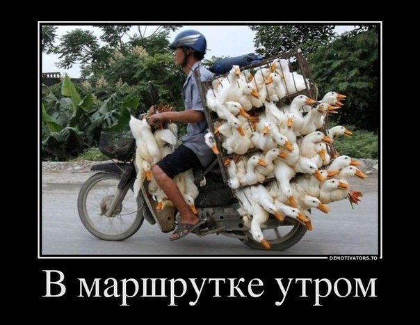 http://i42.fastpic.ru/big/2012/0721/1a/ee963a5fc1245f6e69cb7f65b0f49f1a.jpg