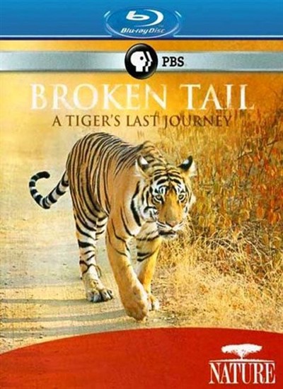  .    / Broken Tail: A Tigers Last Journey (2011) BDRip