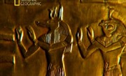  :    / Ancient secrets: Mystery of the silver pharaoh (2010) SATRIp