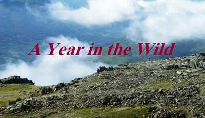 BBC - A Year in the Wild 3of3 Cairngorms (2012) 720p HDTV x264 AAC - MVGroup