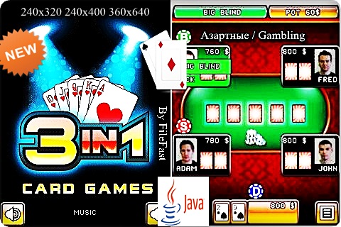 3 in 1 Card Games / 3  1  