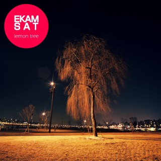 EKAM SAT - Lemon Tree EP (2012)