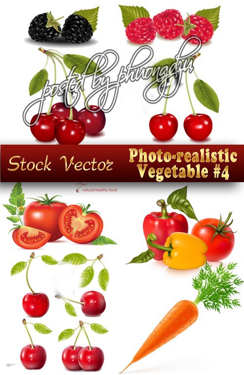 Photo-realistic Vegetable Stock Vector S.4 