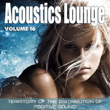 Acoustics Lounge Vol. 16 (2012)