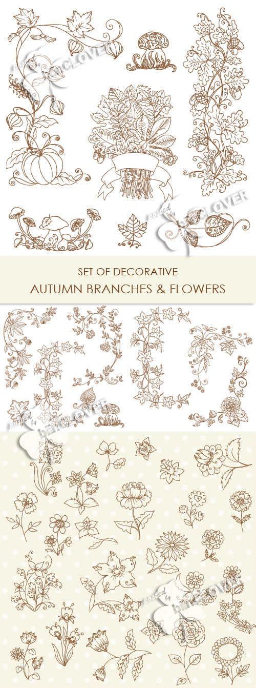 Set of decorative autumnal branches and flowers 0240