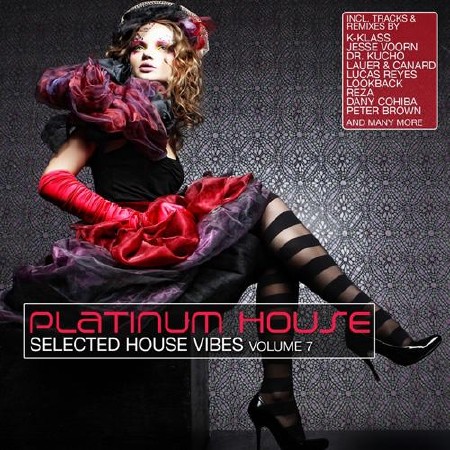 Platinum House, Vol. 7 (Selected House Vibes) (2012)