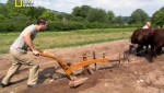   :     / The Link: From ploughs super cars (2012) SATRip 