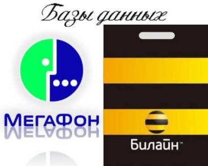 База данных оператора Билайн + База данных сотового оператора Мегафон (2012/RUS)
