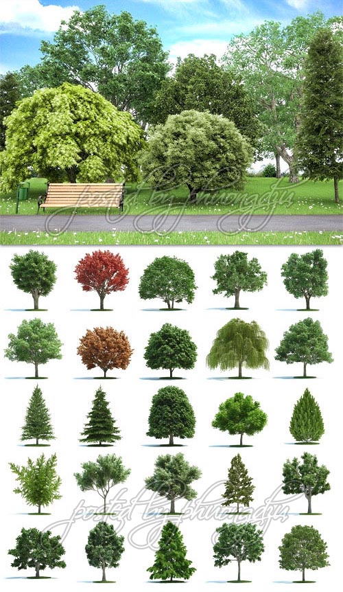 Archmodels Vol.58 - Realistic Trees Models (Update)