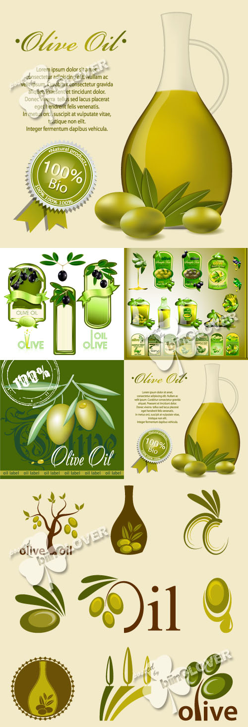 Olive oil label pattern and icons 0246