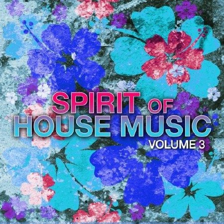 Spirit of House Music Vol 3 (2012)