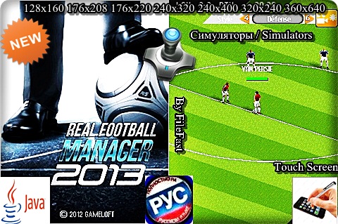 Real Football Manager 2013 /   2013 