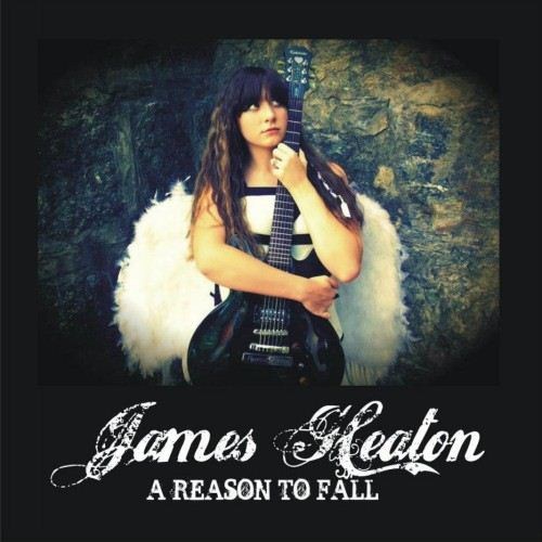 James Heaton - A Reason To Fall (2012)