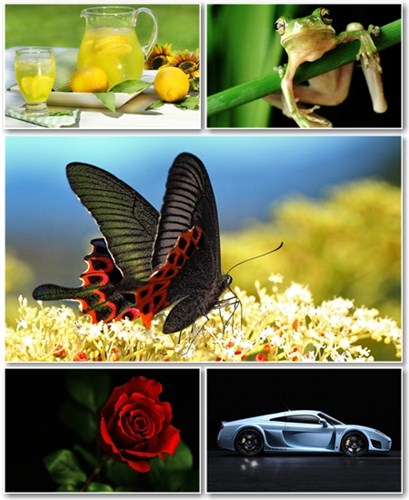 Best HD Wallpapers Pack №721