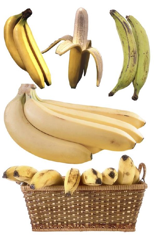 Фруктовый фотосток: Бананы