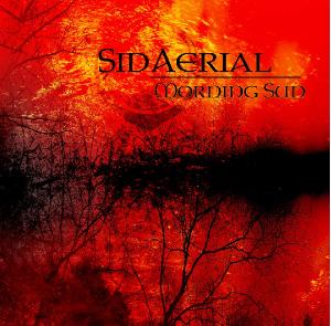 SidAerial - Morning Sun (2012)